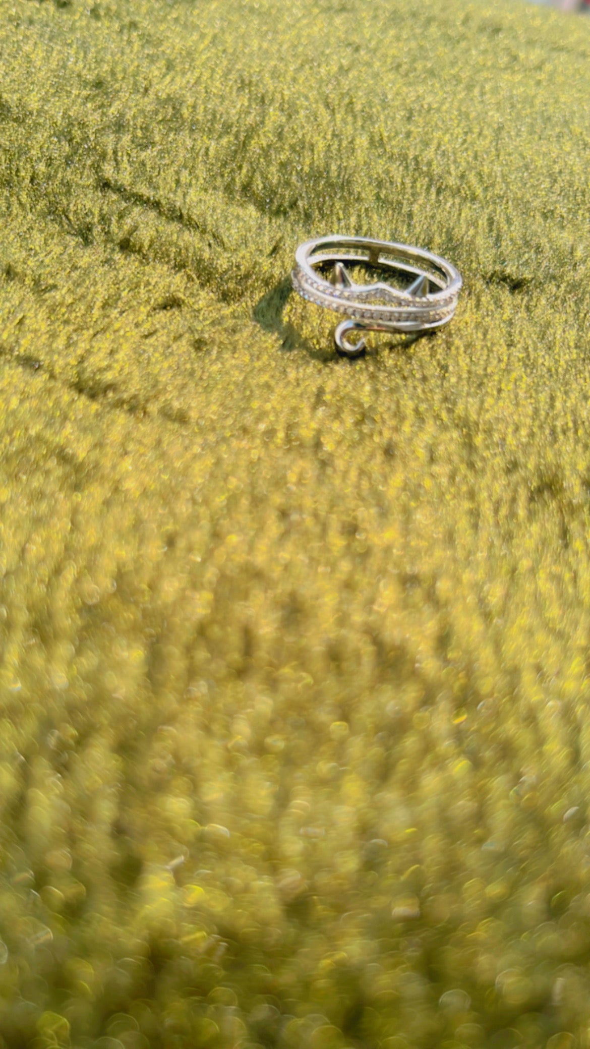 Cat ring