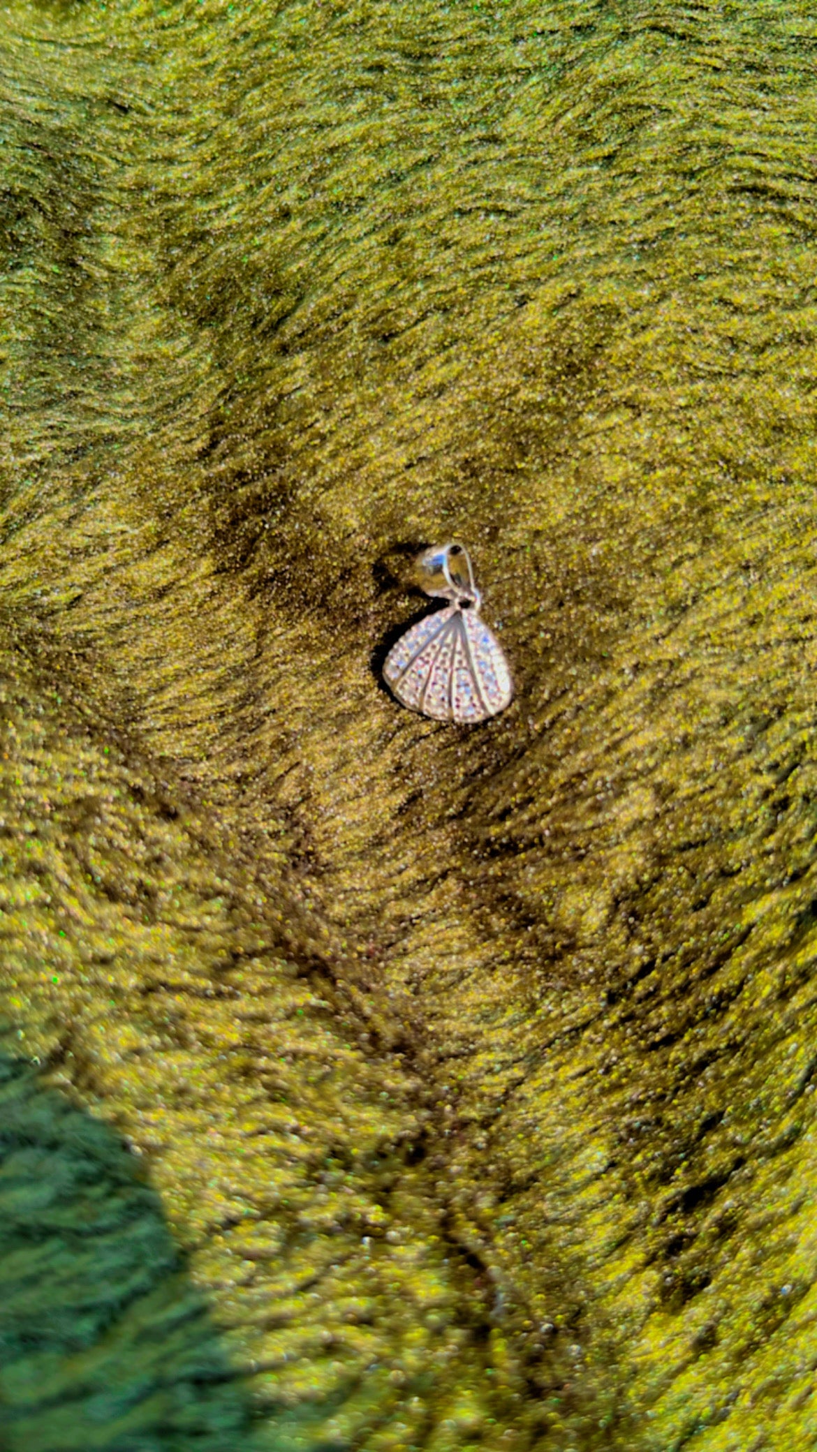 Shell Pendant
