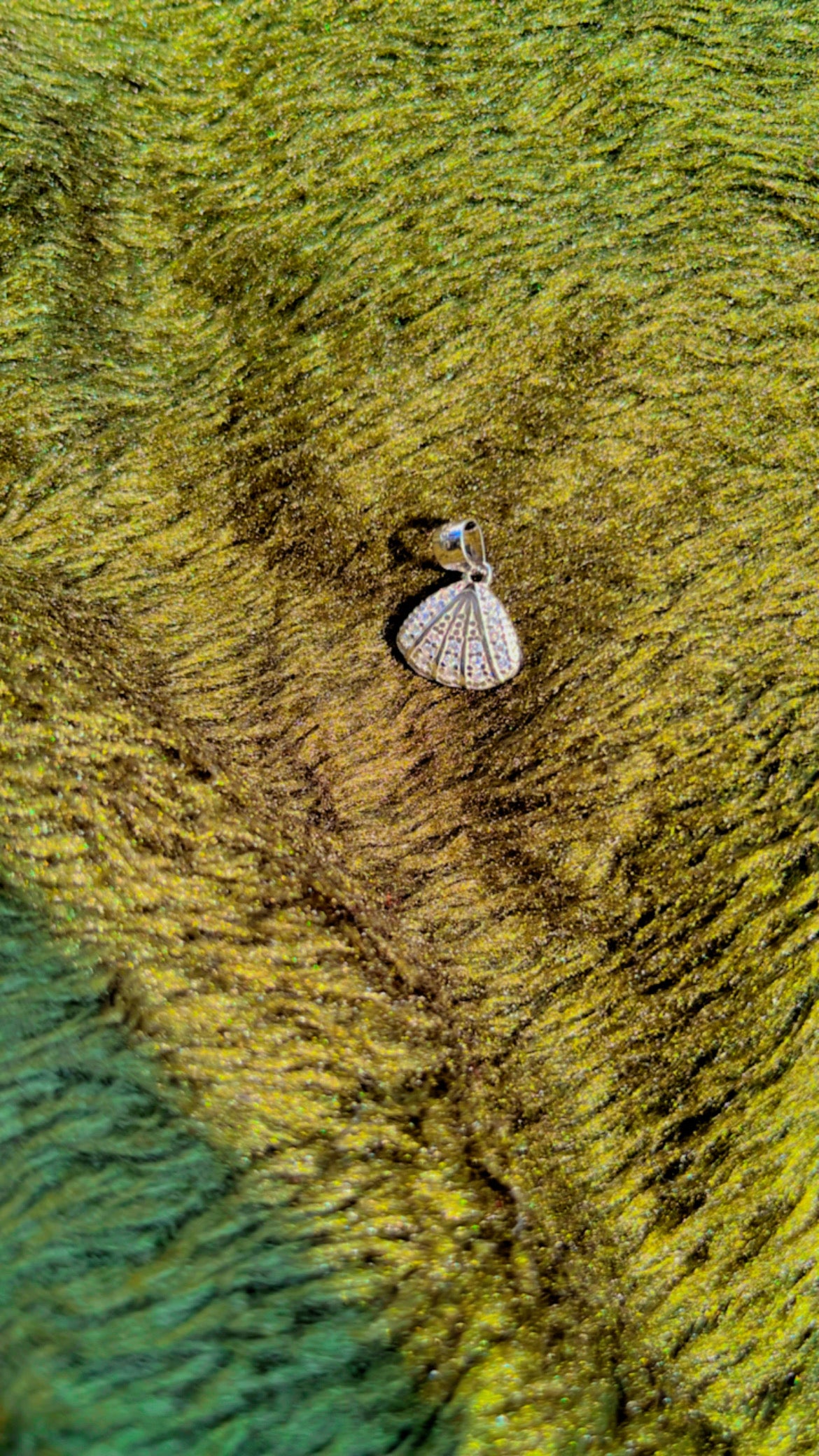 Shell Pendant