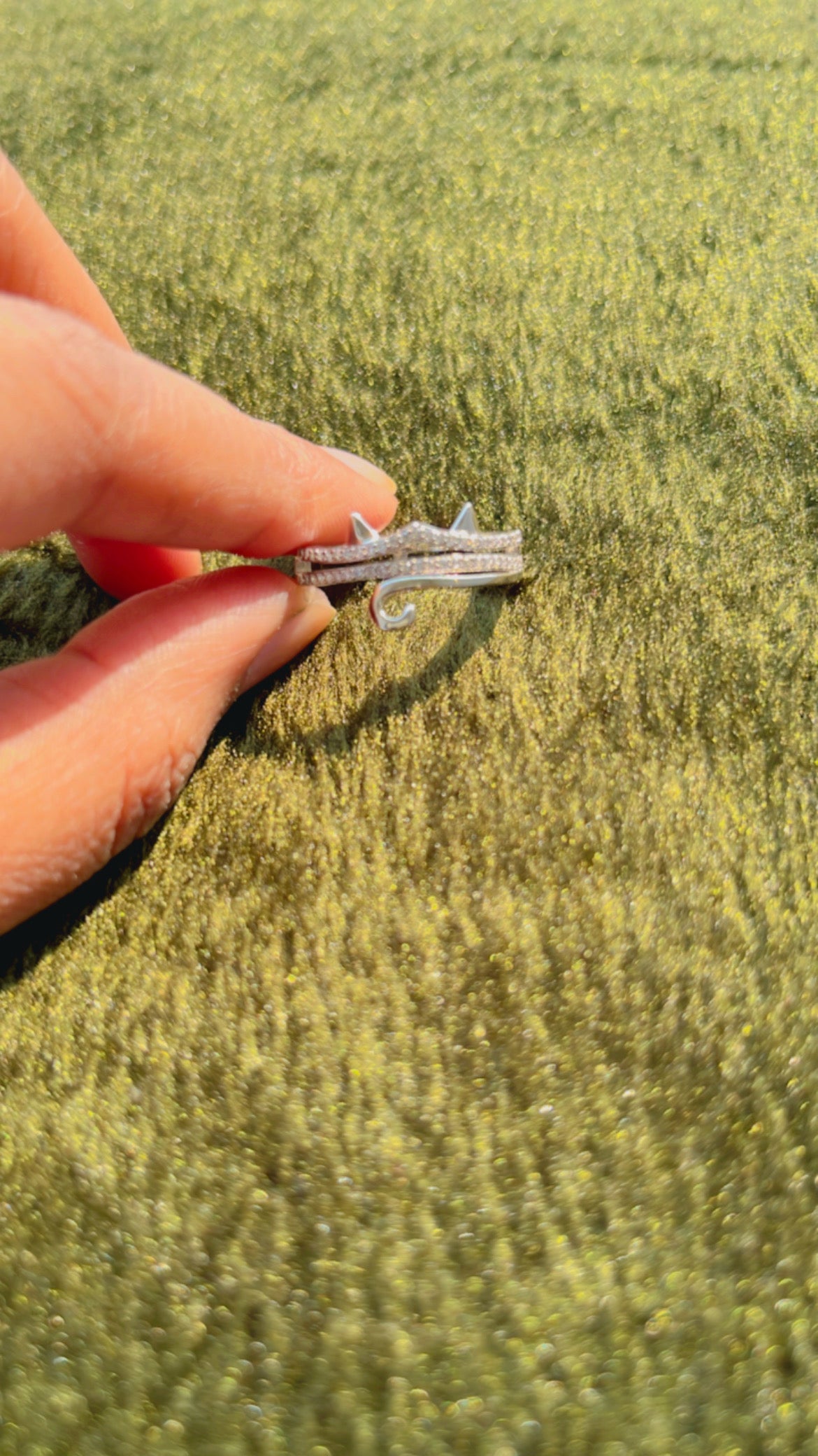 Cat ring