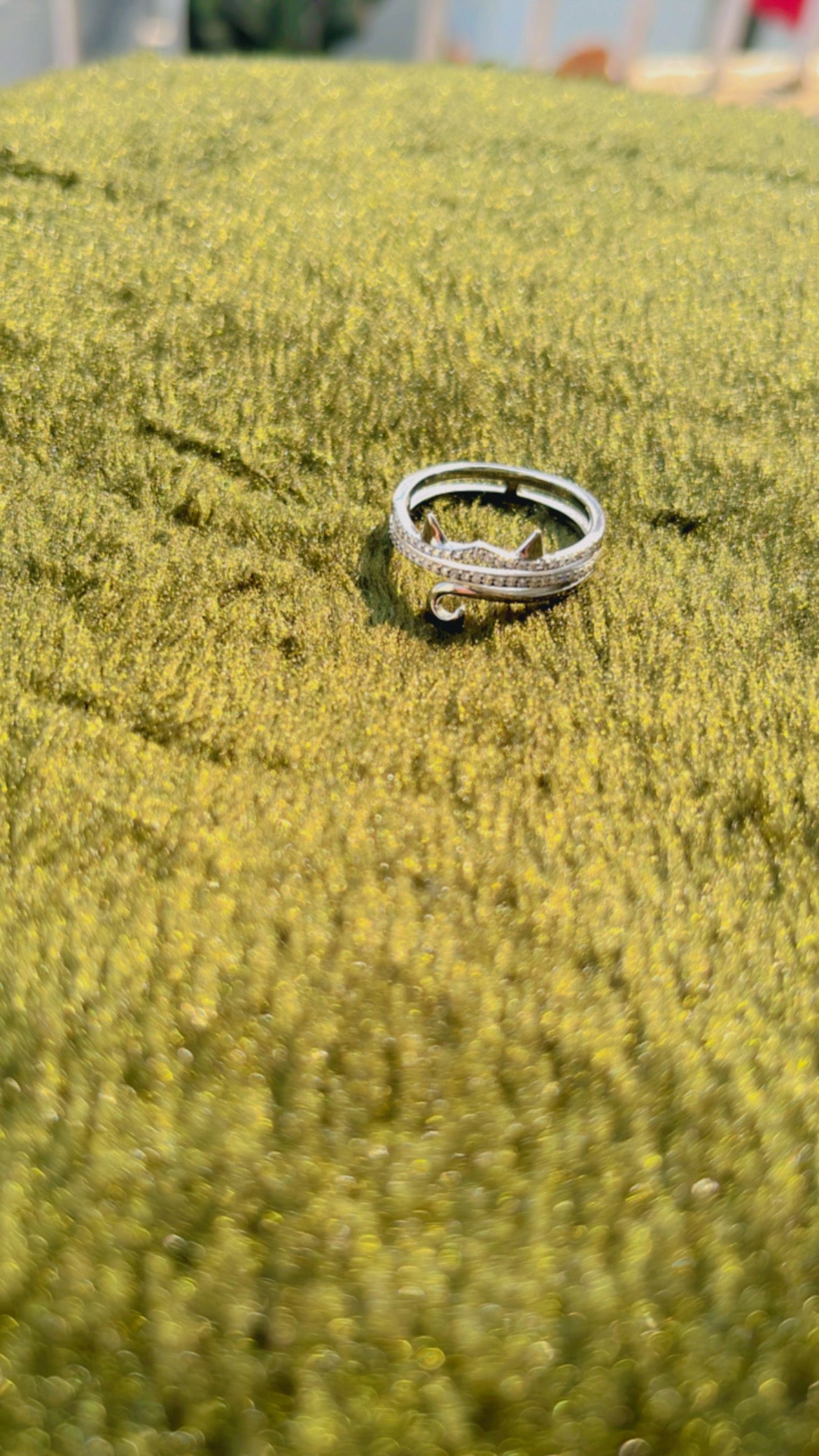 Cat ring
